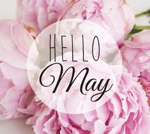 May Newsletter 13 3c88c38e 4cd4 46fb 9b98 0cc7964a3da6